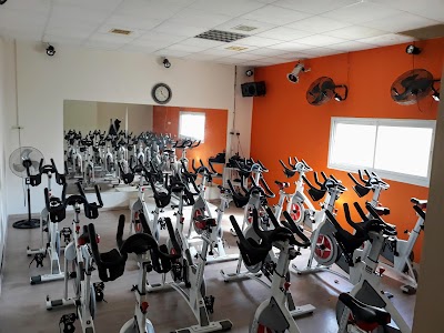 galleryIMG
