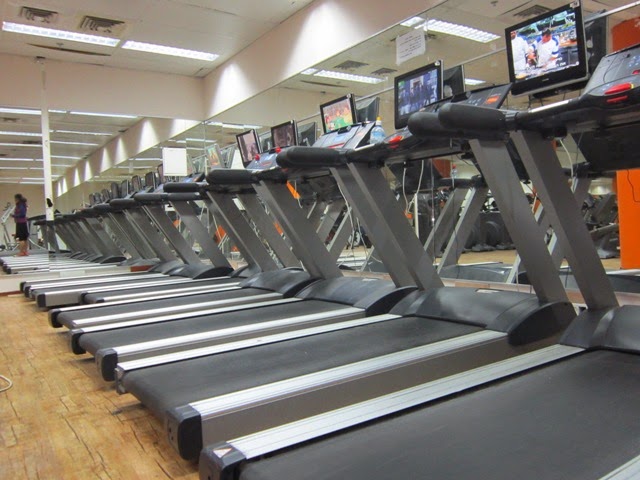 galleryIMG