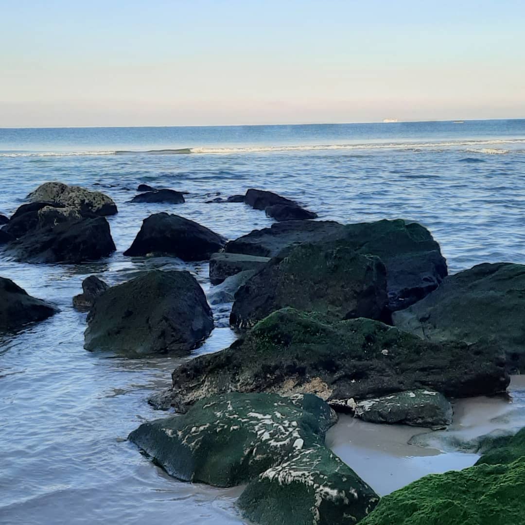 banner_img