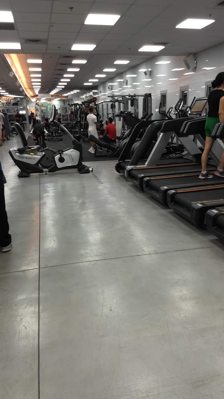 galleryIMG
