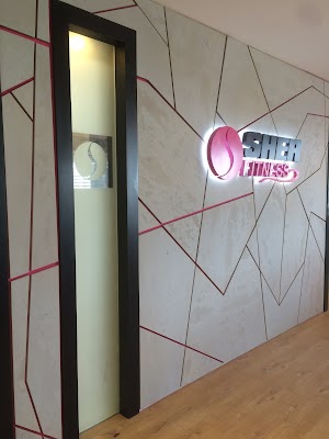 galleryIMG