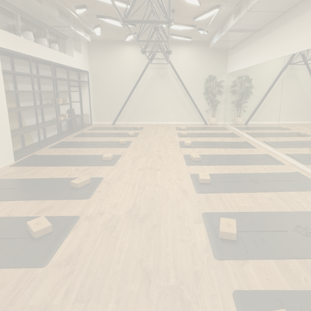 galleryIMG